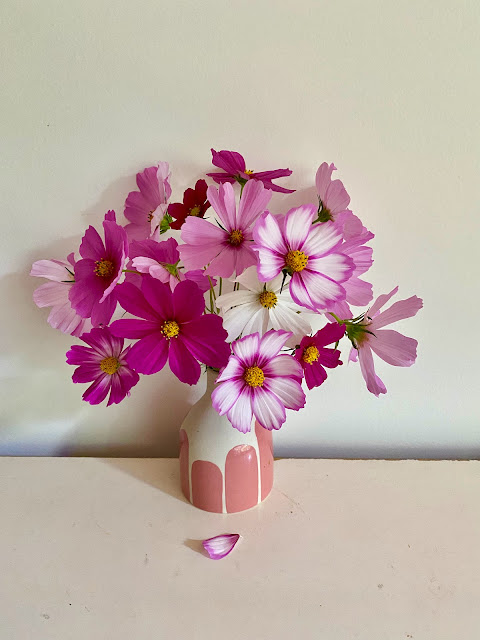 Green smoothie with feijoas… and more flowers from the garden